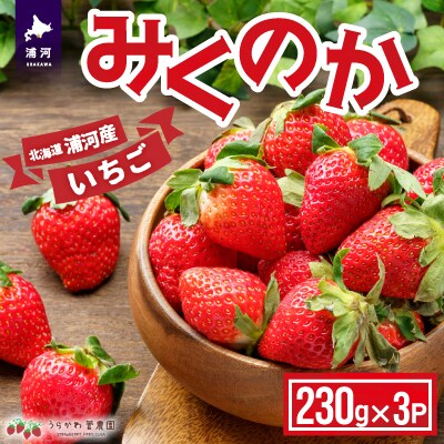 【今が旬!】北海道浦河産いちご「みくのか」230g×3P[13-1430]