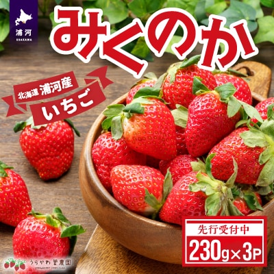 【先行受付開始!】北海道浦河産いちご「みくのか」230g×3P[13-1430]