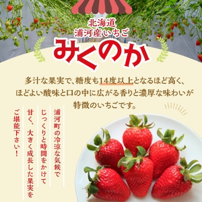 【先行受付開始!】北海道浦河産いちご「みくのか」230g×3P[13-1430]