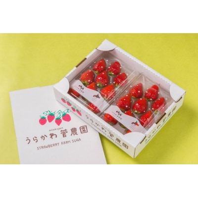 【先行受付開始!】北海道浦河産いちご「みくのか」230g×3P[13-1430]