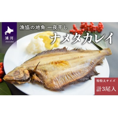漁協の地魚一夜干し ナメタカレイ 特特大サイズ(3尾入)[02-1247]