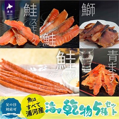 【父の日対応】北海道日高産 海鮮乾物5種セット[25-1459]