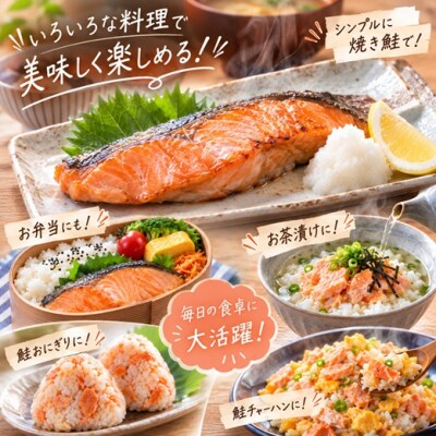 【訳アリ】北海道日高産 秋鮭(甘塩)切身10切(個包装) [15-1467]