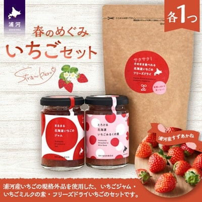 べてるの家の「いちごセット」[45-1477]