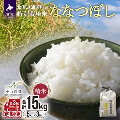【先行受付!】浦河の特別栽培米「ななつぼし」精米(5kg×1袋)定期便(全3回)[37-1489]