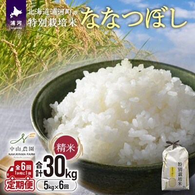 浦河の特別栽培米「ななつぼし」精米(5kg×1袋)定期便(全6回)[37-1490]