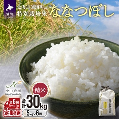浦河の特別栽培米「ななつぼし」精米(5kg×1袋)定期便(全6回)[37-1490]