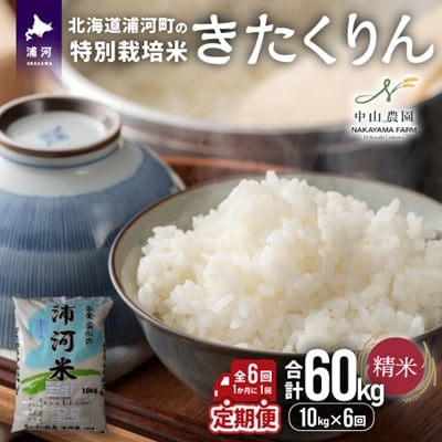 【先行受付!】浦河の特別栽培米「きたくりん」精米(10kg×1袋)定期便(全6回)[37-1495]