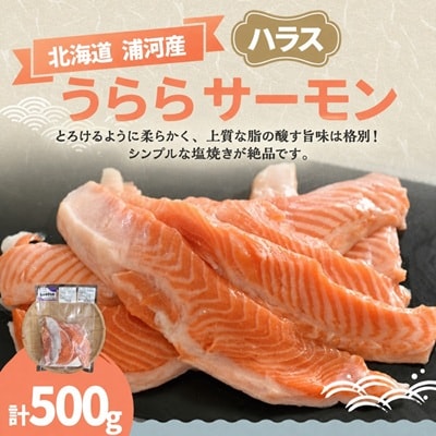 北海道浦河町産『うららサーモン』のハラス500g×1P[02-1507]