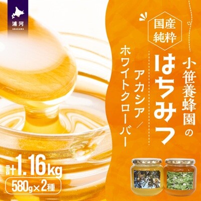 国産純粋完熟はちみつ大瓶セット(アカシア・ホワイトクローバー)580g×2本[16-1524]