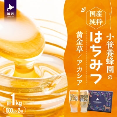 国産純粋完熟はちみつ2種セット(黄金草・アカシア)ご家庭用計1kg[16-1525]