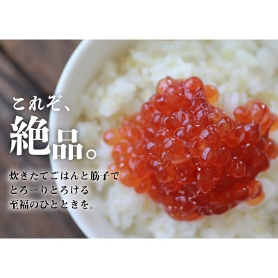 北海道日高産 秋鮭 筋子500g×2箱[02-1432]
