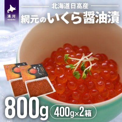 【めしの素(秋鮭)2P付】網元のいくら醤油漬(400gx2箱)[01-578]