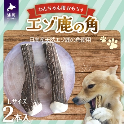 エゾ鹿の角 Lサイズ×2本セット(1本物)[54-1533]