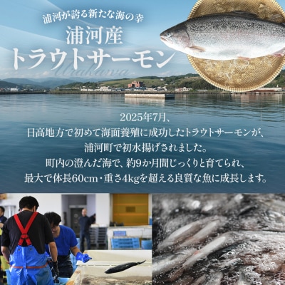 北海道浦河町産 トラウトサーモン(刺身用・酢〆昆布)セット[08-1546]