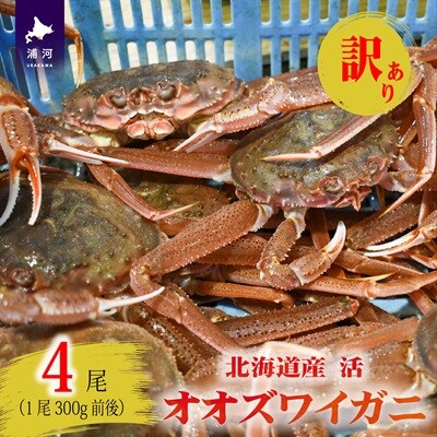 訳あり 活オオズワイガニ300g前後×4尾[02-1565]