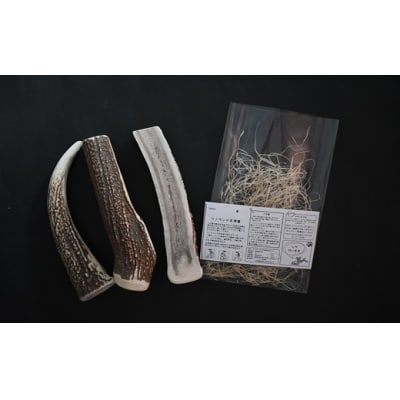 エゾ鹿の角　Lサイズよくばりセット(1本物・角先・半割)[54-1575]