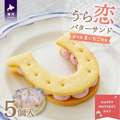 【母の日対応】『うら恋バターサンド』5個入[55-1578]