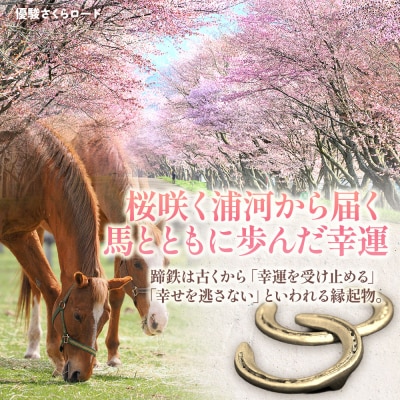 北海道浦河町産『蹄鉄アレンジメント』[50-1576]