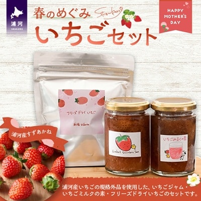 【母の日対応】べてるの家の「いちごセット」[45-1594]