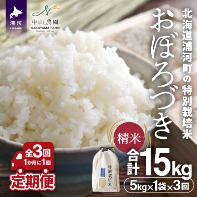 北海道浦河町の特別栽培米「おぼろづき」精米(5kg×1袋)定期便(全3回)[37-1491]