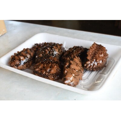 北海道浦河産『活なまこ』1kg※不在日・日付指定対応不可※[06-1591]