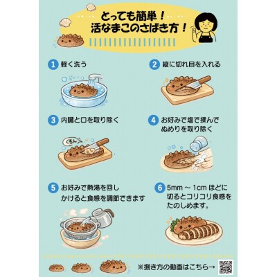 北海道浦河産『活なまこ』1kg※不在日・日付指定対応不可※[06-1591]