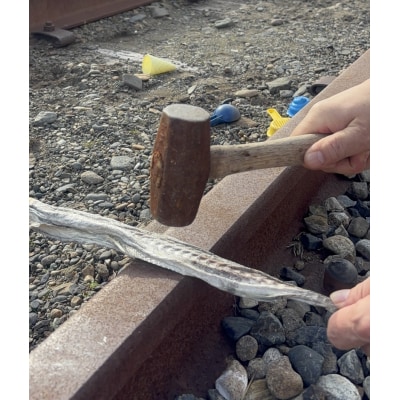 北海道浦河町産 干し棒だら(トンカチ珍味)4～5本入×3P[06-1592]