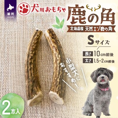犬用「鹿の角」Sサイズ×2本[53-1595]
