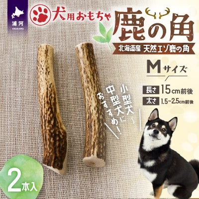 犬用「鹿の角」Mサイズ×2本[53-1596]