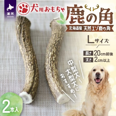 犬用「鹿の角」Lサイズ×2本[53-1597]