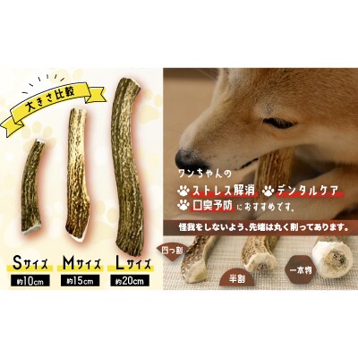 犬用「鹿の角(半割り)」Mサイズ×2本[53-1599]