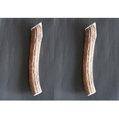 犬用「鹿の角(半割り)」Lサイズ×2本[53-1600]