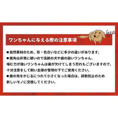 犬用「鹿の角(四つ割り)」Sサイズ×4本[53-1601]