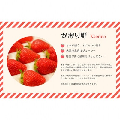 【令和9年1月～4月発送!】北海道浦河町産いちご食べ比べ定期便(全3回)[13-1629]