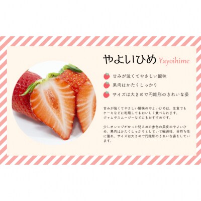 【令和9年1月～4月発送!】北海道浦河町産いちご食べ比べ定期便(全3回)[13-1629]