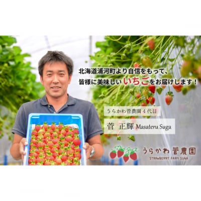 【令和9年1月～4月発送!】北海道浦河町産いちご食べ比べ定期便(全3回)[13-1629]