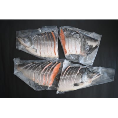 日高産 船上活〆時鮭(ときしらず)甘塩仕立て 約3.0kg～3.5kg(4分割)[01-1632]