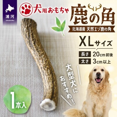 犬用「鹿の角」XLサイズ×1本[53-1635]