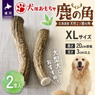 犬用「鹿の角」XLサイズ×2本[53-1636]