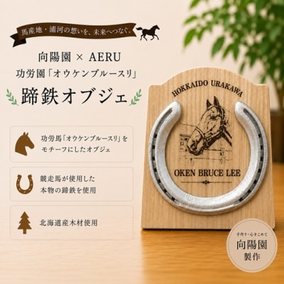 向陽園×AERU 功労馬「オウケンブルースリ」蹄鉄オブジェ[35-1639]