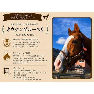 向陽園×AERU 功労馬「オウケンブルースリ」蹄鉄オブジェ[35-1639]