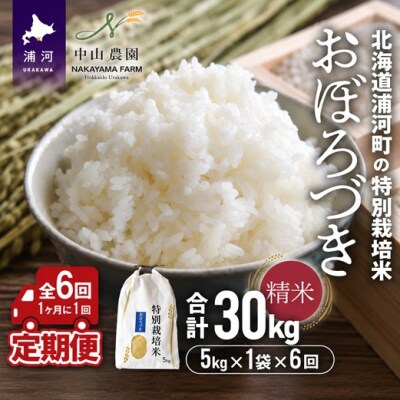 北海道浦河町の特別栽培米「おぼろづき」精米(5kg×1袋)定期便(全6回)[37-1492]