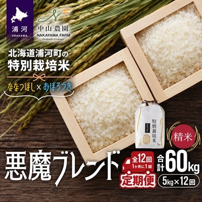 北海道浦河町の特別栽培米「悪魔ブレンド」精米(5kg×1袋)定期便(全12回)[37-1653]