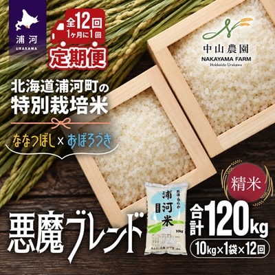 北海道浦河町の特別栽培米「悪魔ブレンド」精米(10kg×1袋)定期便(全12回)[37-1654]
