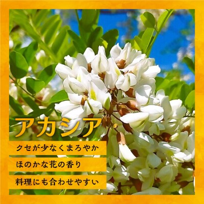 国産純粋完熟はちみつ大瓶セット(アカシア・黄金草)580g×2本[16-1658]