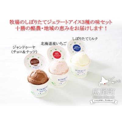 放牧牛のしぼりたてミルクアイス3種の味セット