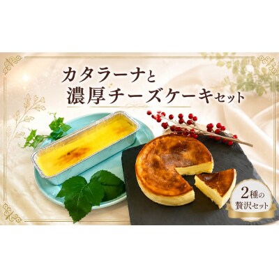 カタラーナと濃厚チーズケーキセット