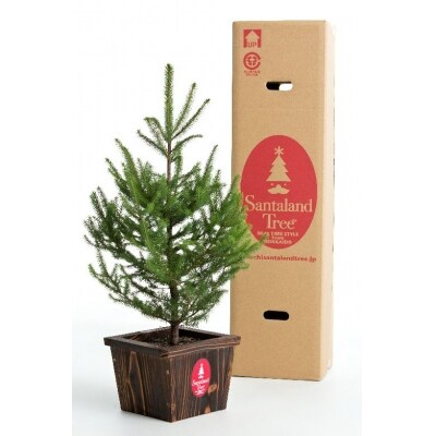 サンタランドツリーL(送り返しつき)(N0003)