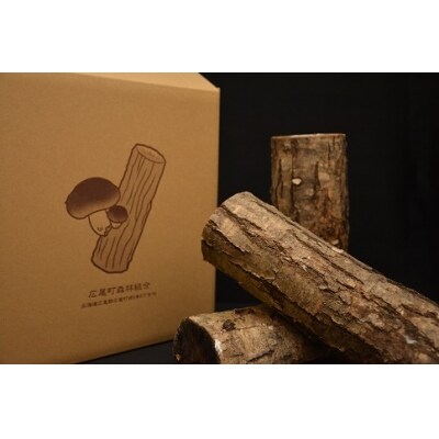 天然原木しいたけ栽培セット